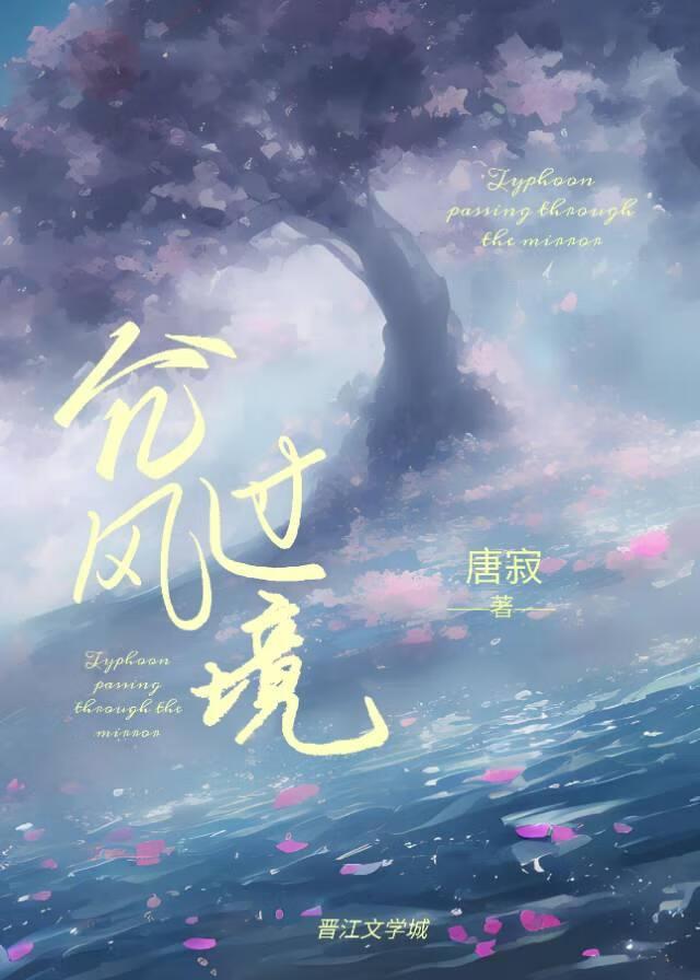 臺风过境封面