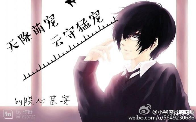 天降萌宠，云守猛宠封面