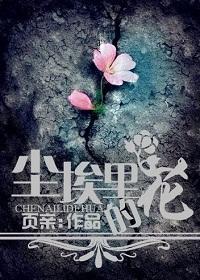 尘埃裏的花封面