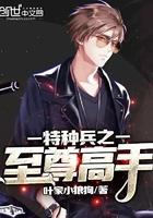 特种兵之九龙至尊封面