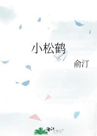 小松鹤封面