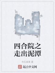 四合院之走出泥潭封面