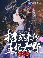招安来的王妃太野怎么办封面