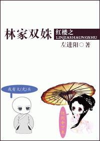 红楼之林家双姝封面
