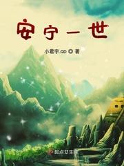 一世安宁张瑞封面