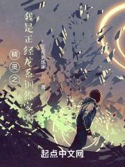精灵之我是正经龙系训练家啊封面
