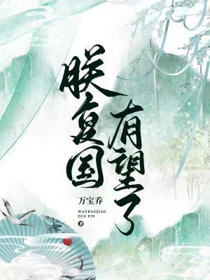 朕覆国有望了封面