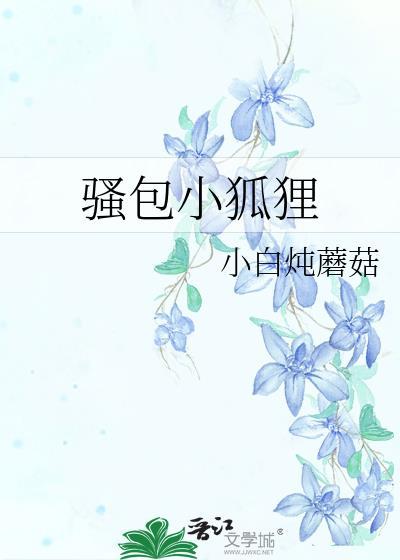 骚包小狐貍封面