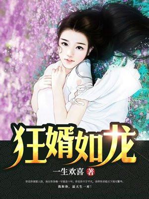 赘婿如龙陆叶封面