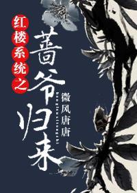 红楼系统之蔷爷归来封面