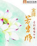 金牌芳香师封面