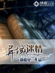 异域谜情封面