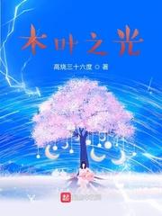 木叶之光封面