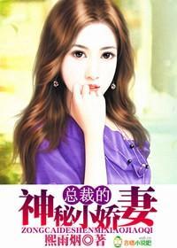 总裁的神秘小娇妻封面