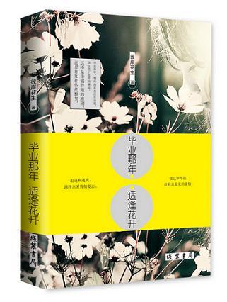 毕业那年,适逢花开(出书版)封面