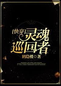 灵魂巡回者[快穿]封面