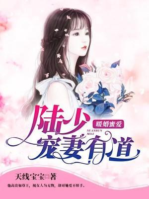 暖婚蜜爱：陆少宠妻有道封面