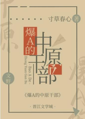 爆A的中原干部封面