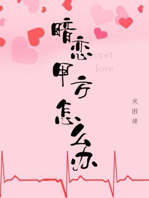 暗恋甲方怎么办封面
