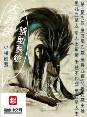 大武侠辅助系统封面