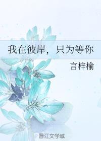 我在彼岸，只为等你封面