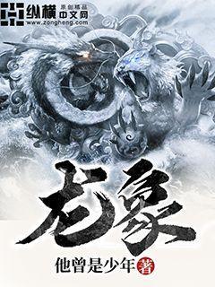 龙象封面