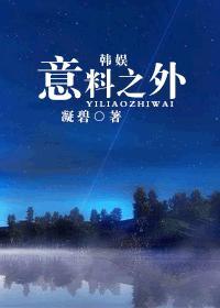 （韩娱）意料之外封面