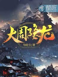 大周隐龙封面