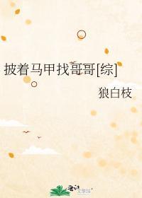 披着马甲找哥哥[综]封面