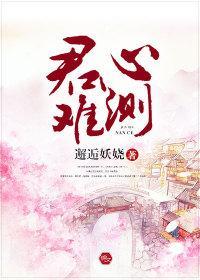 君心难测封面