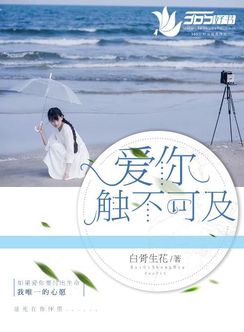 爱你触不可及封面