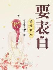 机长大人是饿狼封面