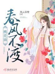 春风不渡桃花面封面
