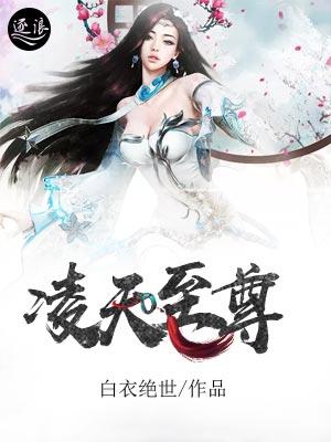 凌天至尊封面