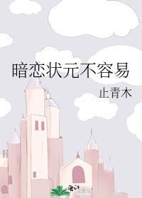 暗恋状元不容易封面