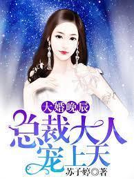 大婚晚辰：总裁大人宠上天封面