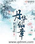丹华仙章封面