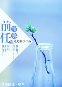 前任宝典封面