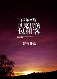贝克街的包租客封面