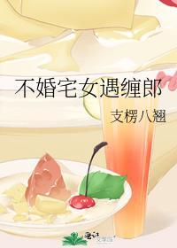 不婚宅女遇缠郎封面