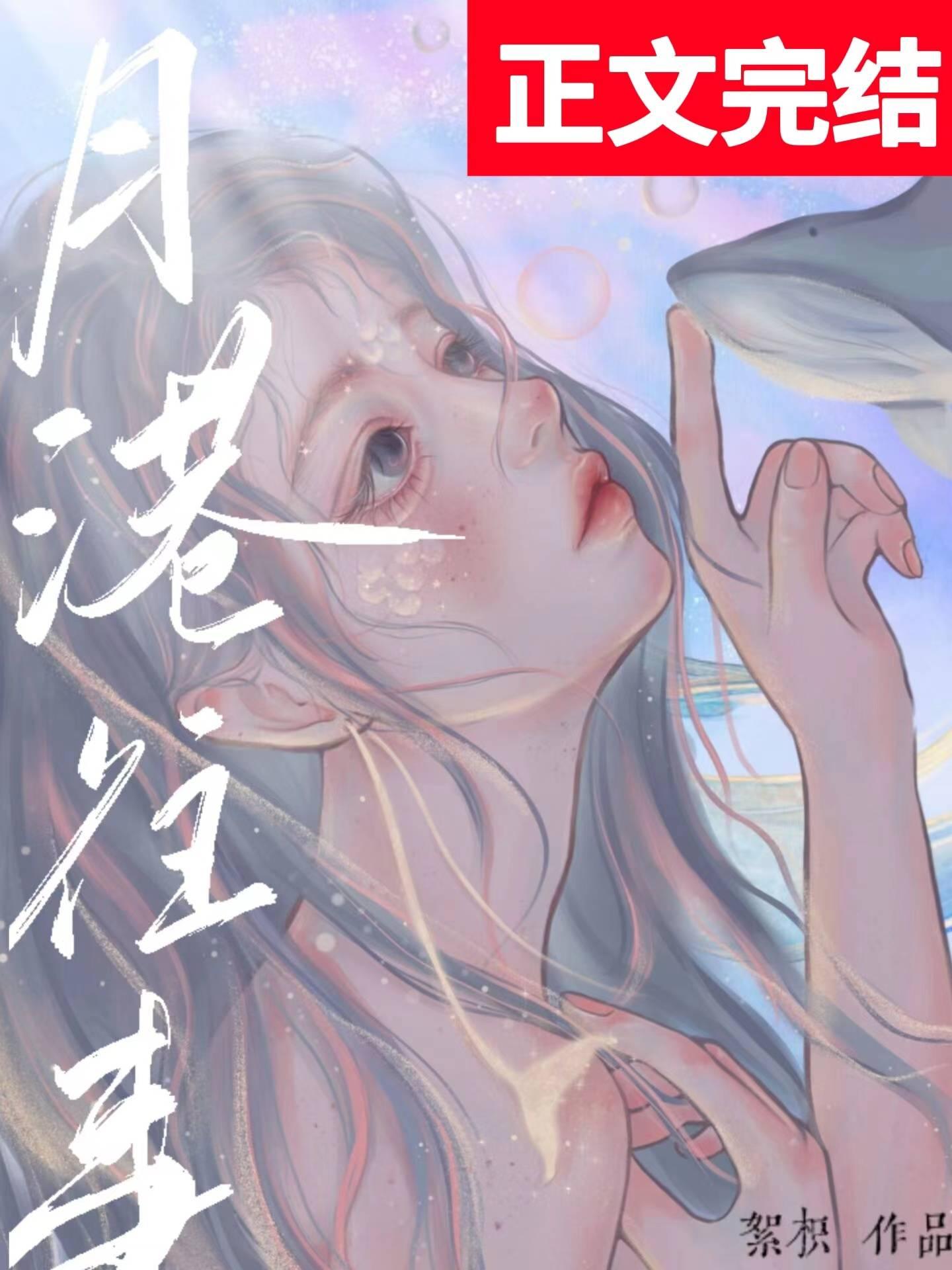 月港往事封面