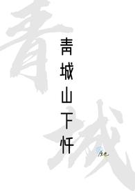 青城山下忏(姐夫)封面