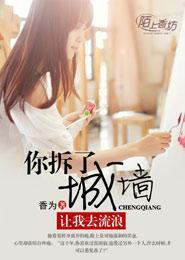 你拆了城墻，让我去流浪封面
