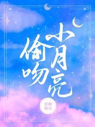 偷吻小月亮封面