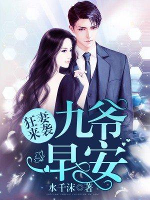 九爷宠妻如命封面