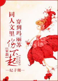 [家教]穿到玛丽苏同人文裏伤不起封面