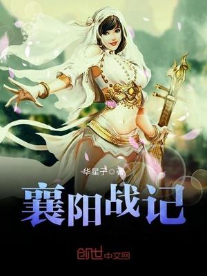 襄阳战记封面