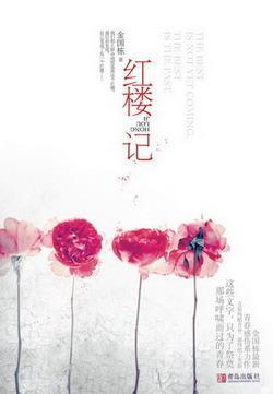 红楼记封面