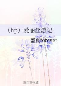 （hp）爱丽丝游记封面