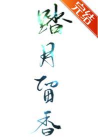 踏月留香封面